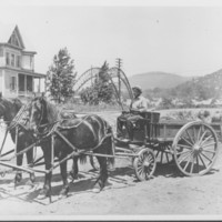 Work-Dump Cart. On Williams Street