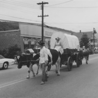 U.S. Bicentennial Celebration. Bellows Falls, VT. August 1976.