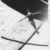 Circus: High Wire Slide.