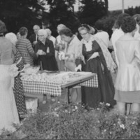 U.S. Bicentennial Celebration. Bellows Falls, VT. August 1976.