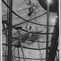 Circus: Trapeze Act.