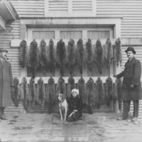 Lee Royce, Eunice Royce, F.H. Guild.  Coon Dog &amp; Coon Pelts
