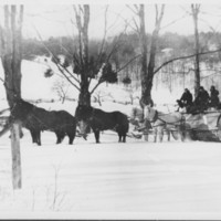 Snow Roller. Six Horse Hitch