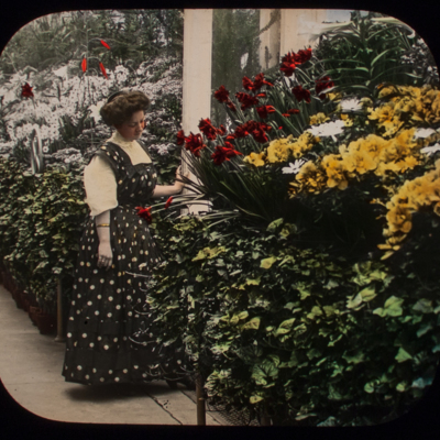 Woman looking at red and yellow flowers