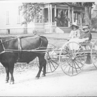 Parade Entry: Steer Drawn Wagon. 1910.