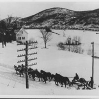 Snow Grader. Nine Horse Hitch