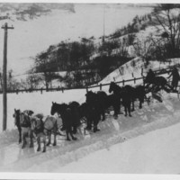 Snow Grader. Nine Horse Hitch