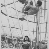 Circus: Trampoline Act.