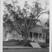 Hurricane: 9/21/1938: Westminster Street.