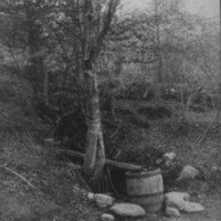 Watering Trough. Near Saxtons River.