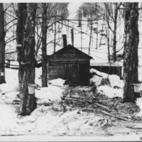 Sugaring: Stoddard Sugar House.