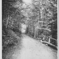 Country Road with rail fence. Near Gageville.