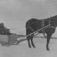 G1-1 Horse Drawn Sled. Old Joe Lord, Driver.jpg