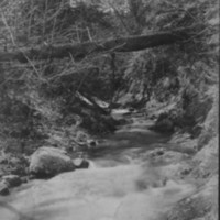 Bundy Brook. Near Saxtons River.