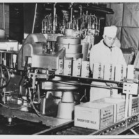 Creamery: Bottling Milk.