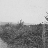 Country Road. Saxtons River Area. About 1898.