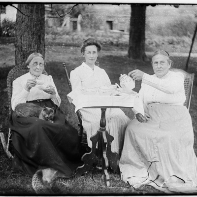 Group of 3 women, tea table, cat