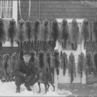 Saul Hewey, Hunter. Coon dog and pelts.