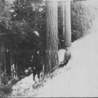 Tree Cutting. Henry H. Porter. And Mrs. Frank Kendall.