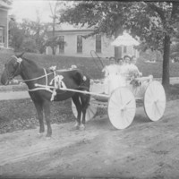 Decorated Buggy &amp; Four Girls.