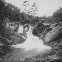 Forest Falls. Gageville, VT.