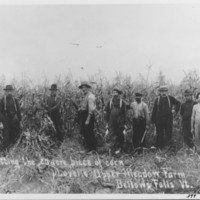 Lovell Farm, Etc.: Cutting Corn.