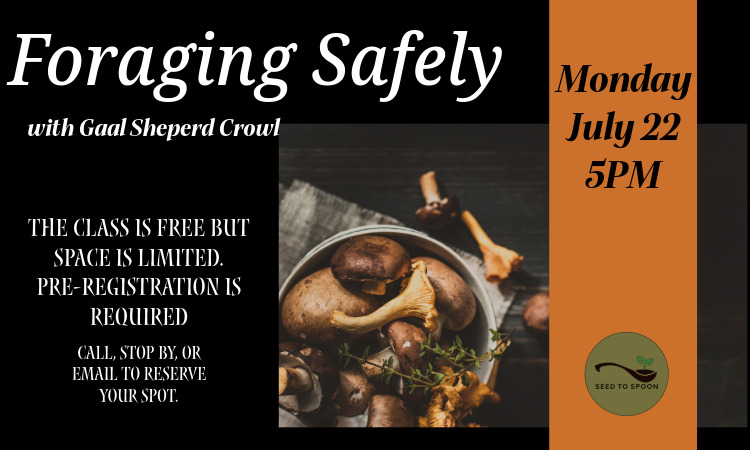 Foraging Safely Monday July 22 pre-registration required